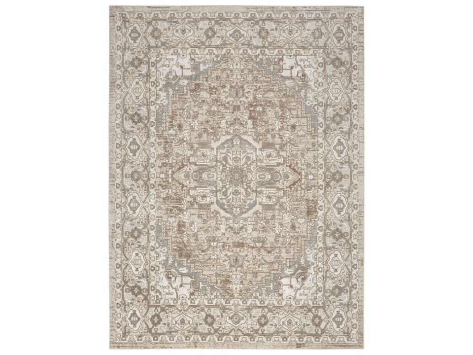 Quarry Traditional Area Rug in Beige Grey with Persian Design