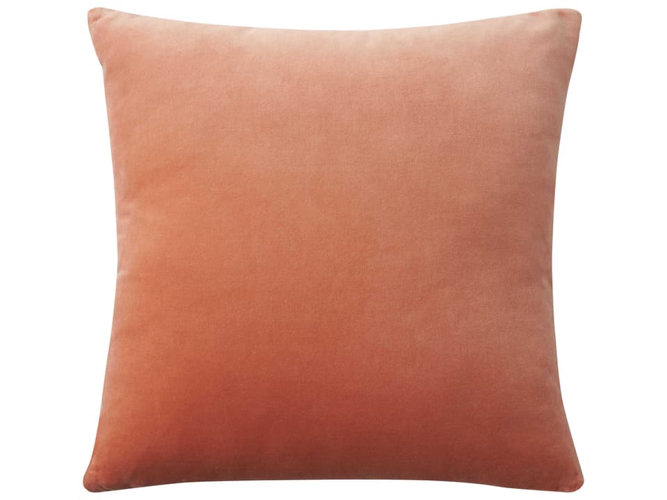 Sofia Coral Reversible Velvet Throw Pillow 20 x 20