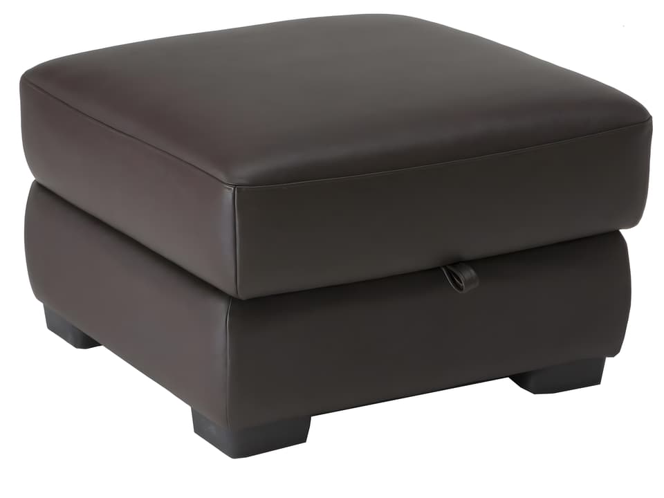 Gaia Square Storage Ottoman with Hidden Storage