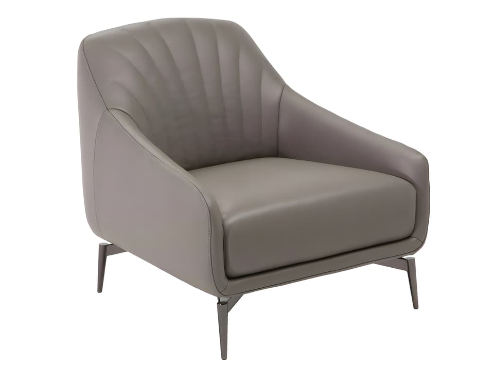 Felicita Accent Chair Contemporary Metal Leg