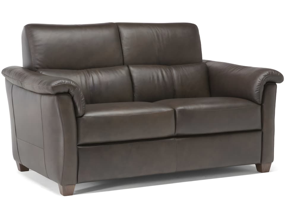 Astuzia Power Reclining Loveseat with Adjustable Headrest Lumbar and Top Grain Leather