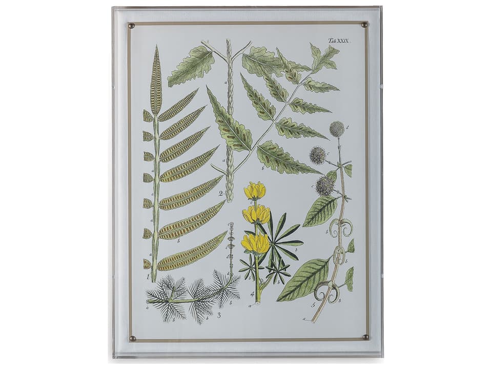 Ferns II Giclee Wall Art with Lucite Shadow Box and Nickel Nailheads