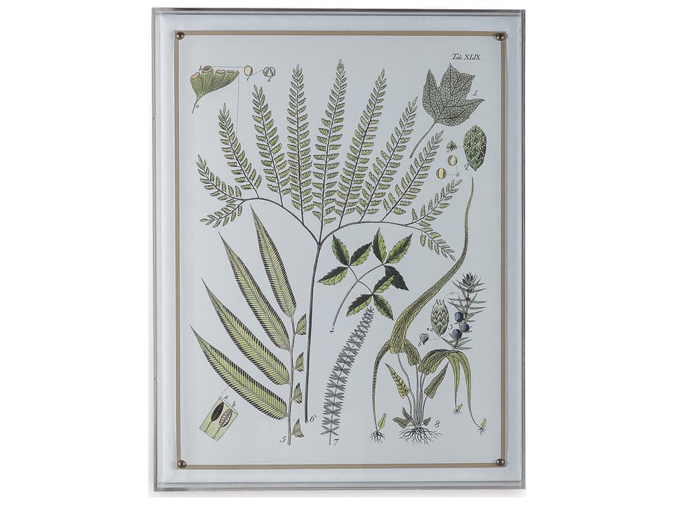 Ferns III Tropical Giclee Wall Art with Lucite Shadowbox