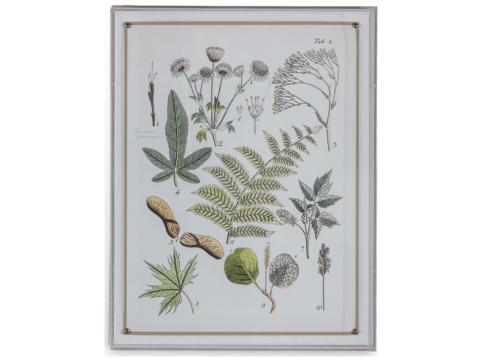 Ferns Vi Wall Art Shadow Box with Brass Nailheads