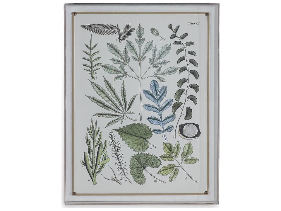 Ferns VII Botanical Giclee Print Wall Art with Nickel Nailhead Trim