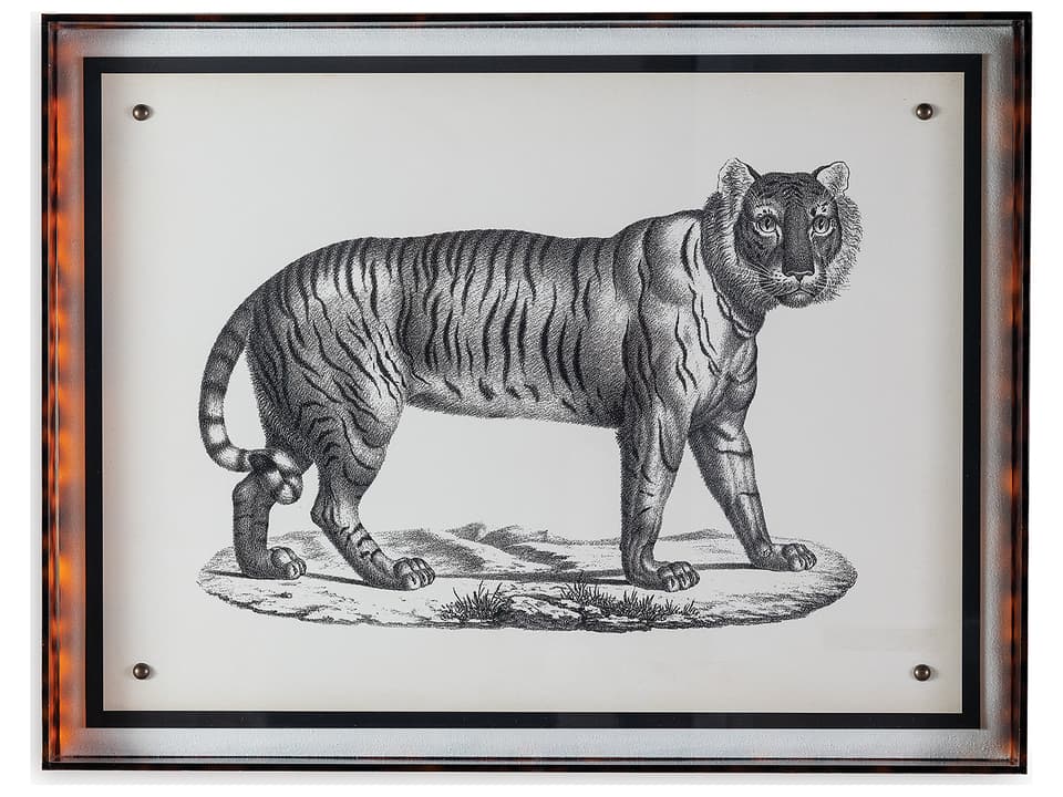 Tiger Black and White Giclee Wall Panel with Tortoise Acrylic Frame