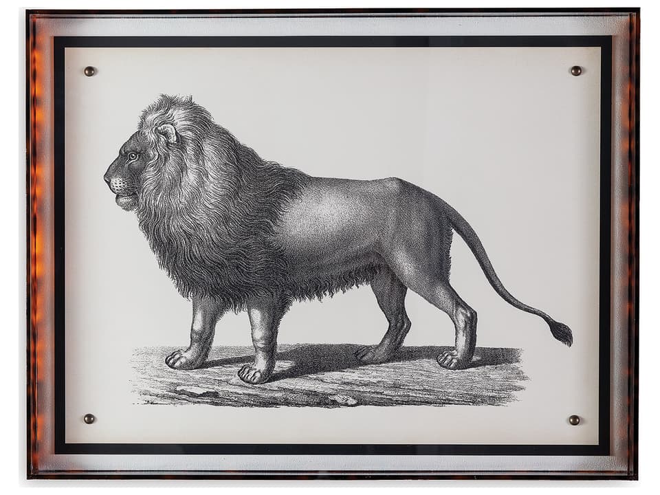 Lion Giclee Wall Art in Black and White with Acrylic Frame