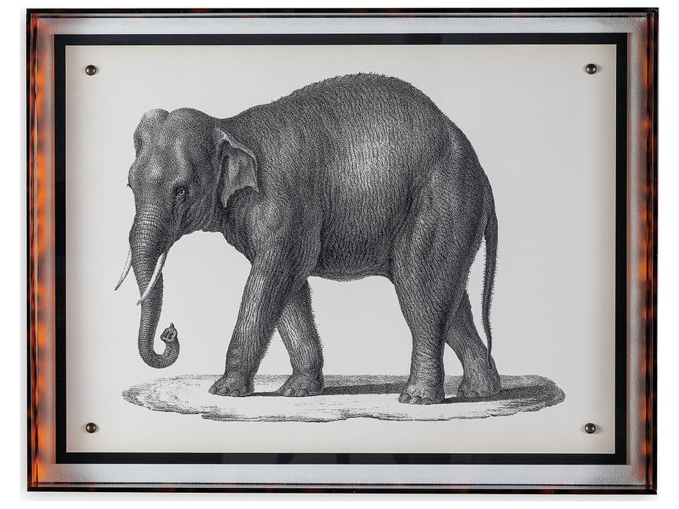 Elephant Framed Giclee Wall Art in Acrylic Frame