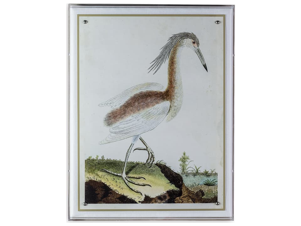 Heron III Giclee Print Wall Art in Lucite Shadow Box