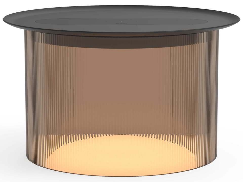 Carousel Round Metal Bronze End Table
