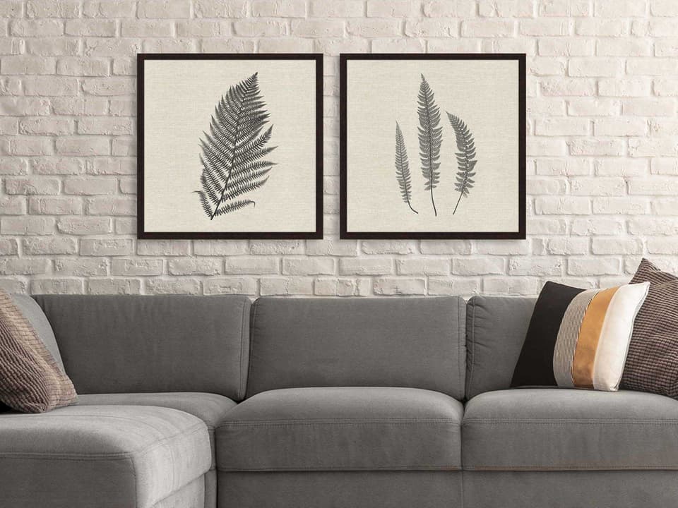 Modern Ferns