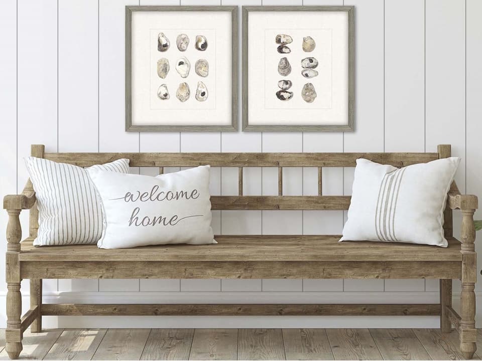 Oyster Shell Shell Series