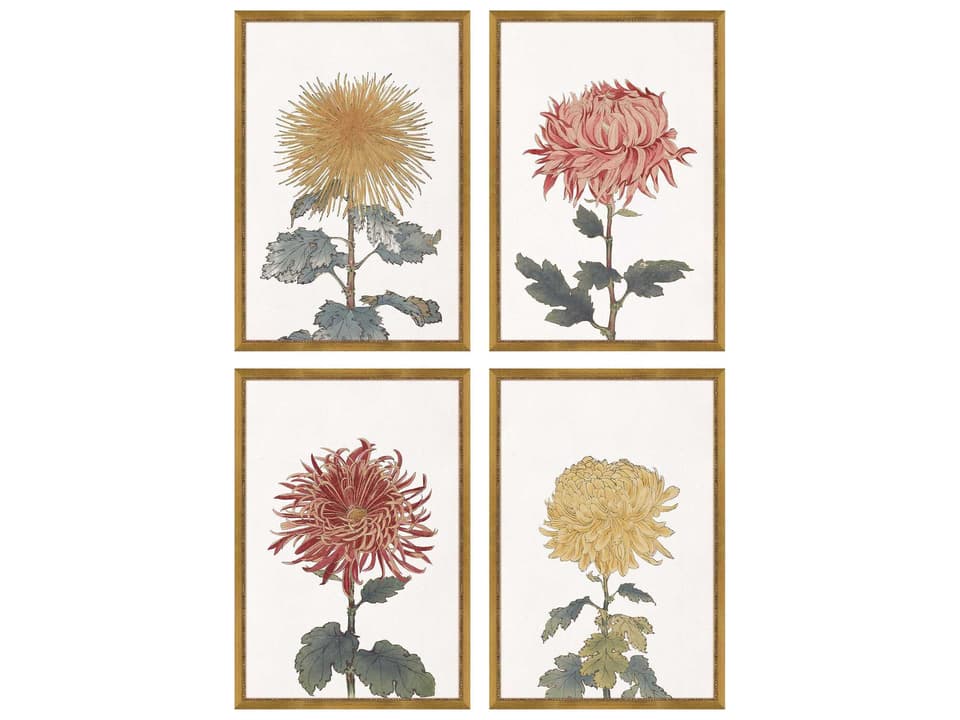 4-Piece Chrysanthemum Botanical Wall Art Set with Gold Frames