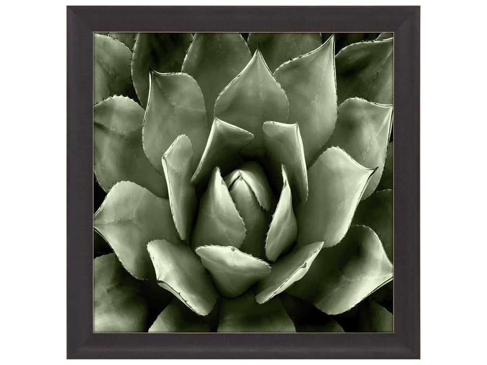 Florals Green Succulent-II Square Wall Art with Glass Cover
