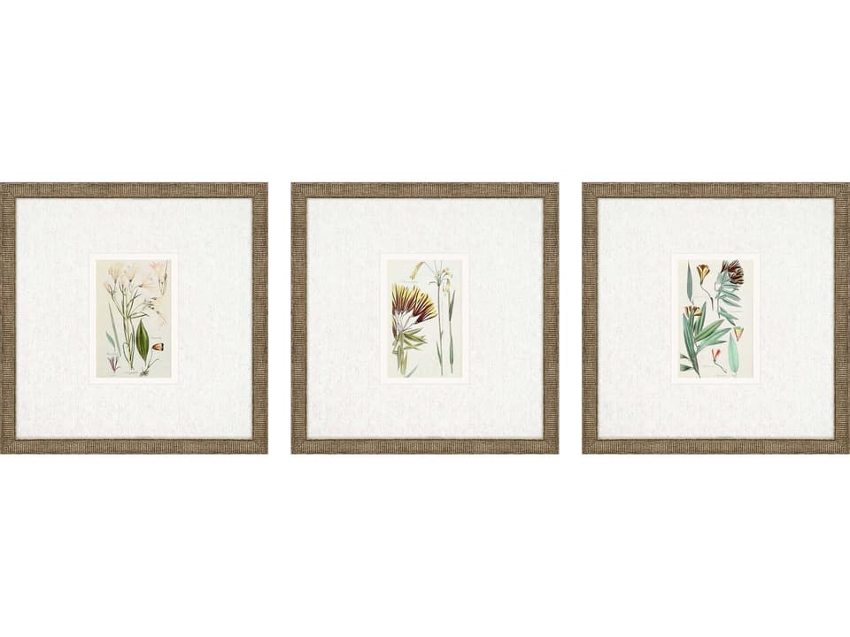 Florals Antique Botanical-I Wall Art Set of 3 in Distressed Antique Gold