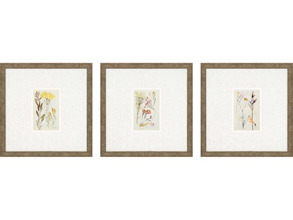 Florals Antique Botanical-II Wall Art Set of 3 with Distressed Gold Frames