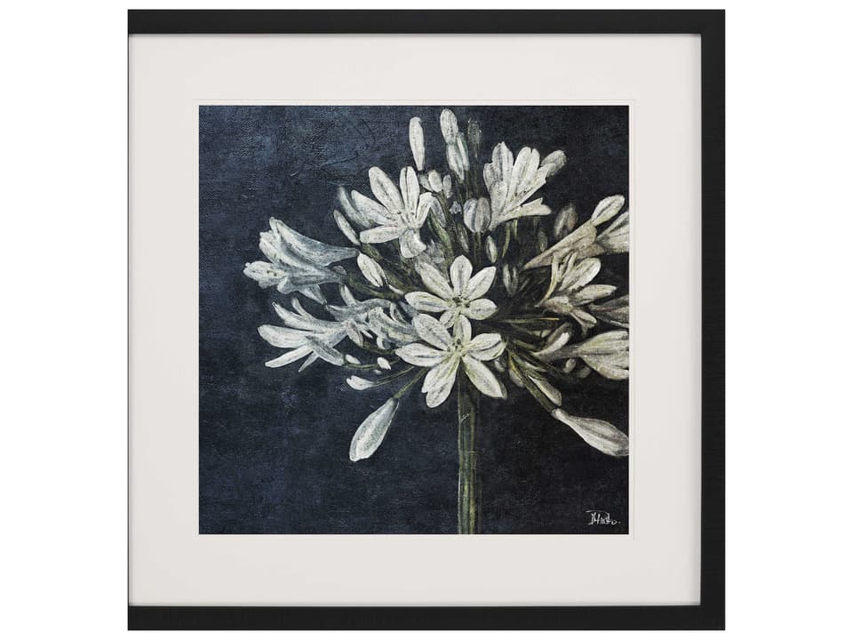 Florals Midnight Lilies-I Framed Giclee Wall Art in Black