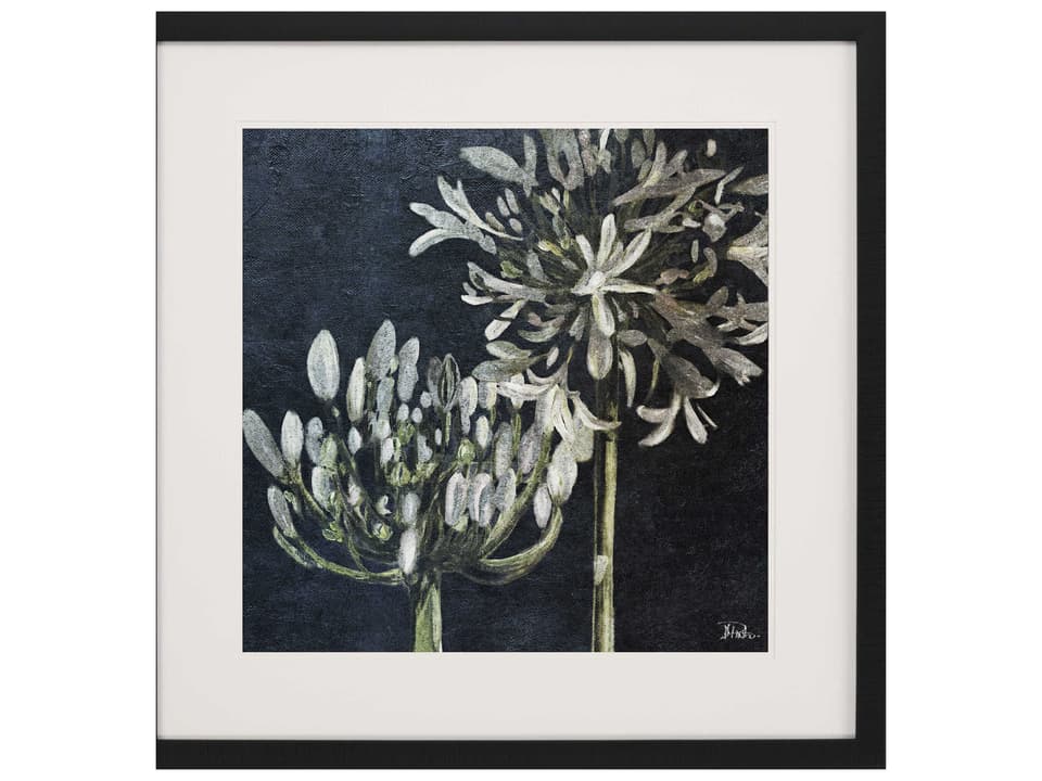 Florals Midnight Lilies-II Framed Wall Art by Malanta Knowles