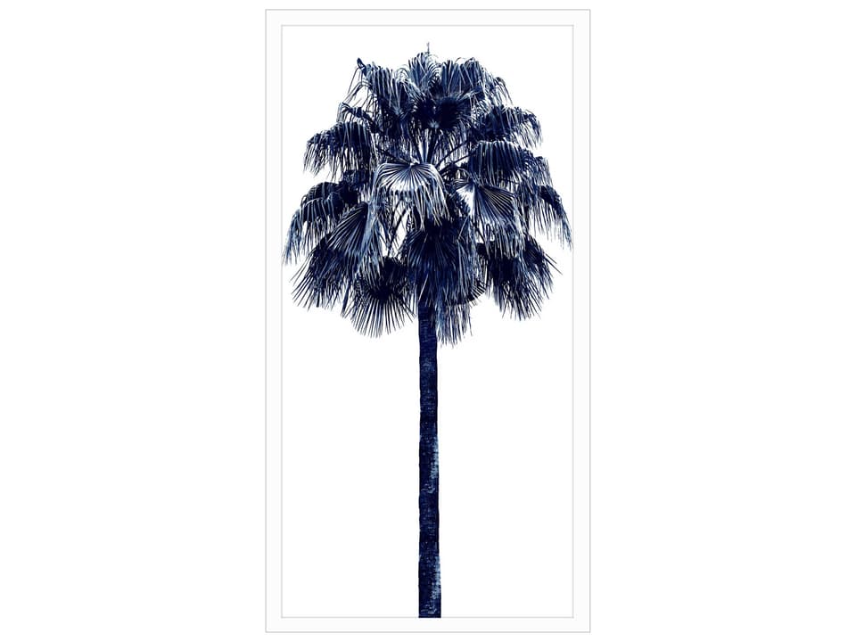 Waterside Palm Tree Blue-IV Framed Wall Art with White Shadow Box