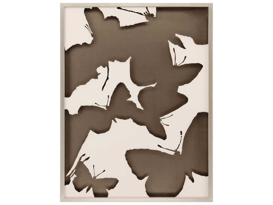 Animals Monochrome Flutter-I Shadow Box Wall Art