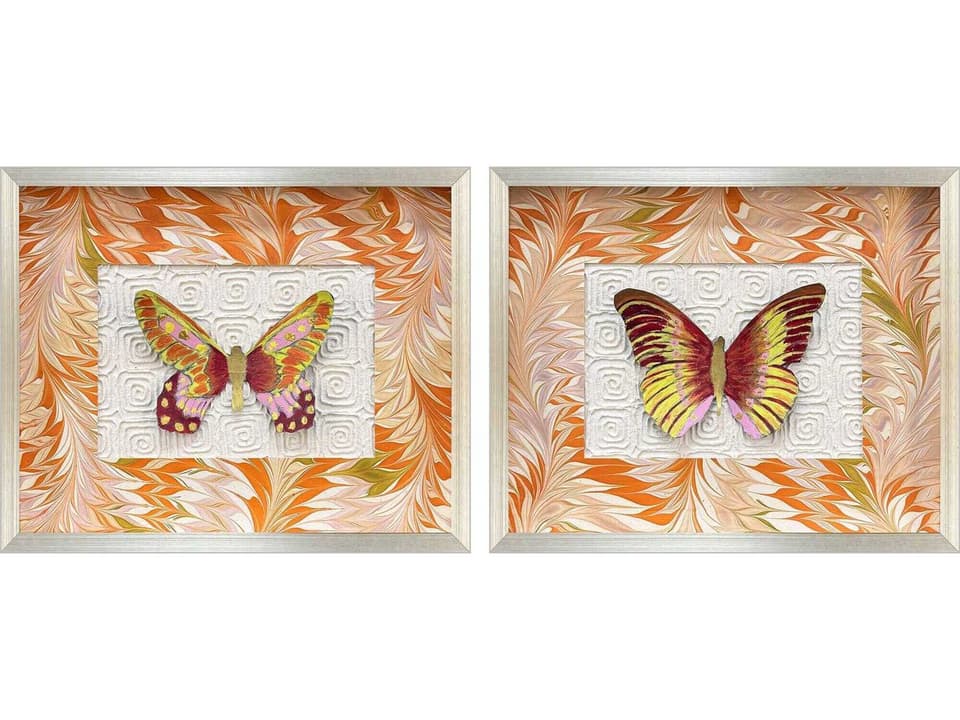 Animals Flight Patterns-II Shadow Box Wall Art Set of 2