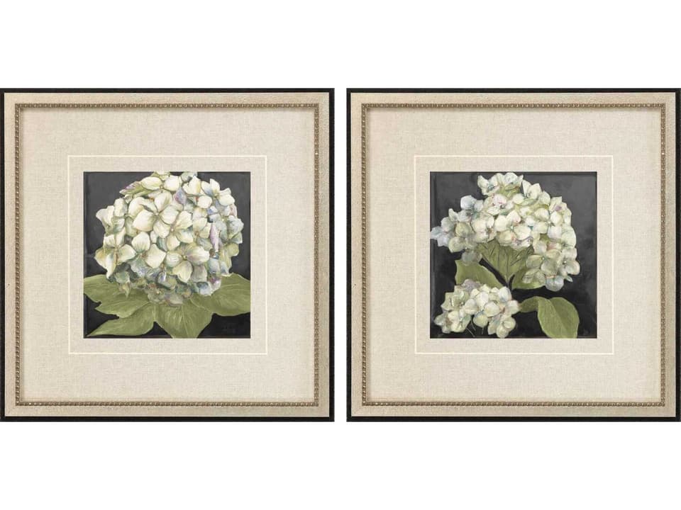 Hydrangeas on Black Framed Wall Art Set of 2 Floral Square