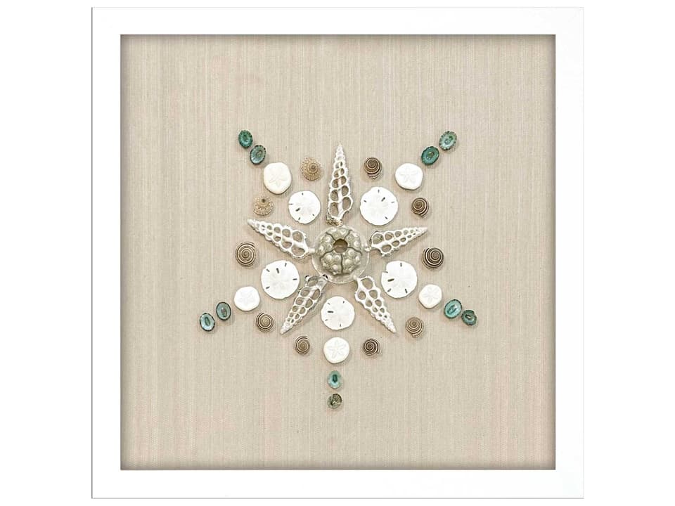 Waterside Caparazon-I Shadow Box Wall Art in White Lacquer Frame