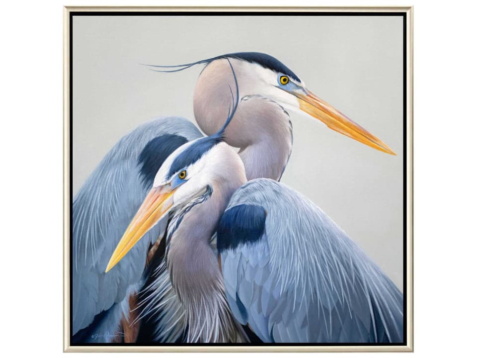 Harmony Canvas Wall Art Blue Herons in Silver Floater Frame