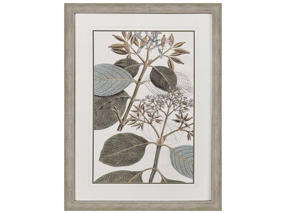Flowering Botanical I Framed Wall Art in Distressed Silver Finish