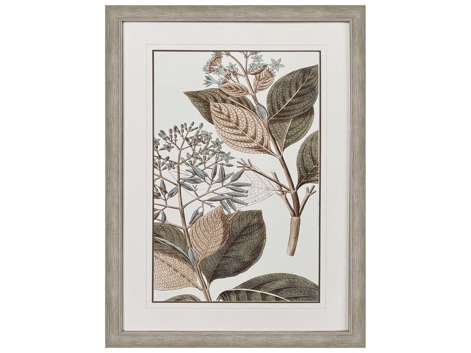 Florals Flowering Botanical III Framed Wall Art in Distressed Silver