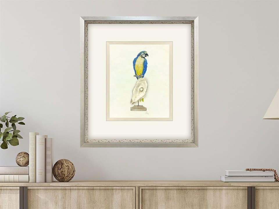 Treasure Parrot