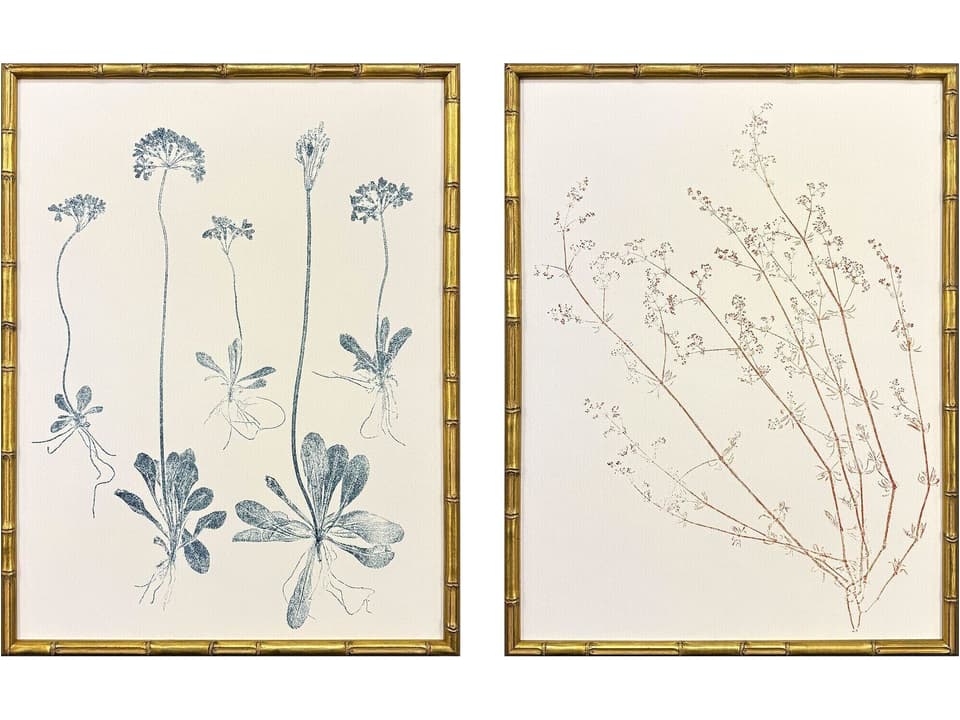 Floral Trace III Botanical Framed Giclee Art Set of 2