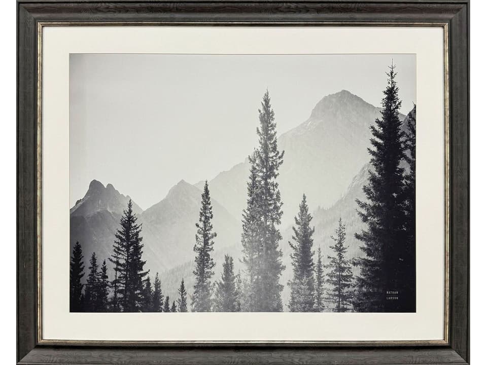 Kanaskis Country Framed Art with Glass and Espresso Wood-Grain Frame