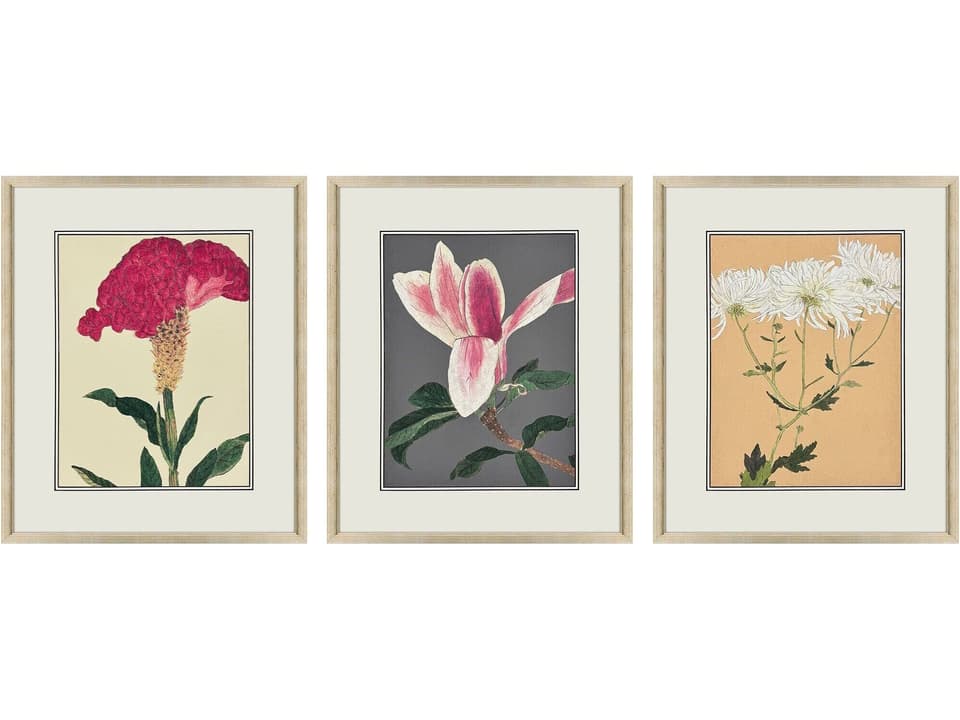 Enchanted Blooms I Set of 3 Framed Botanical Wall Art