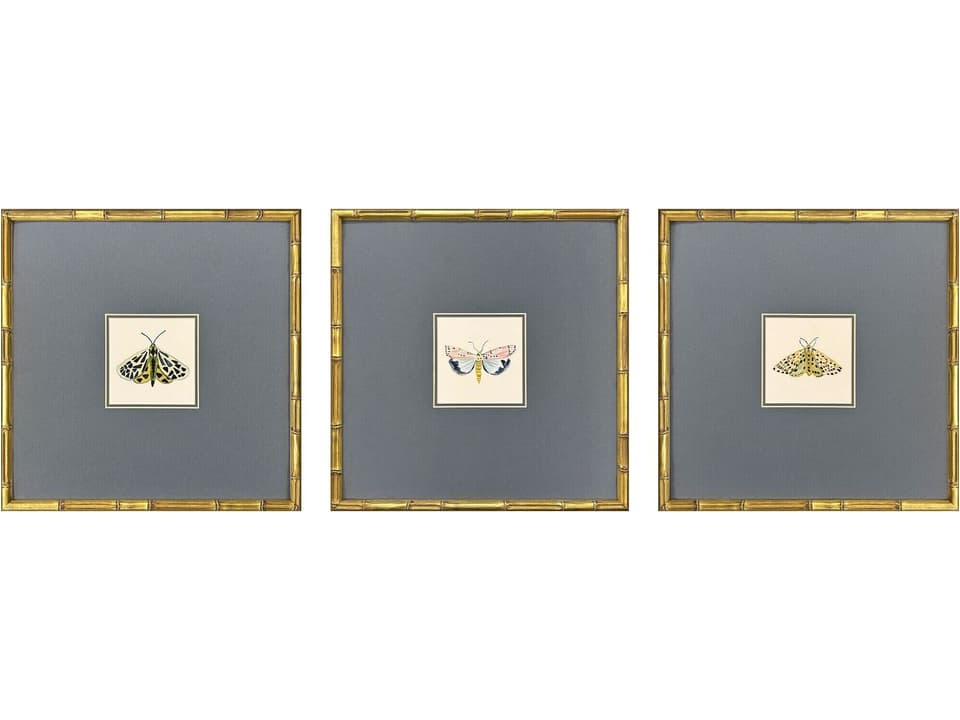 Pastel Moths Framed Wall Art Set of 3 Square Watercolor Gold Frame