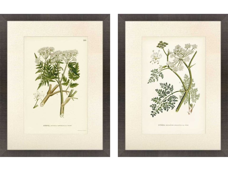 Queen's Lace Green and Neutral Framed Giclee Wall Art Set of 2