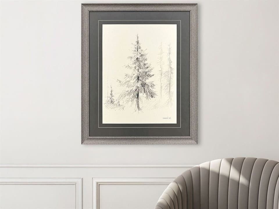 Elegant Pine