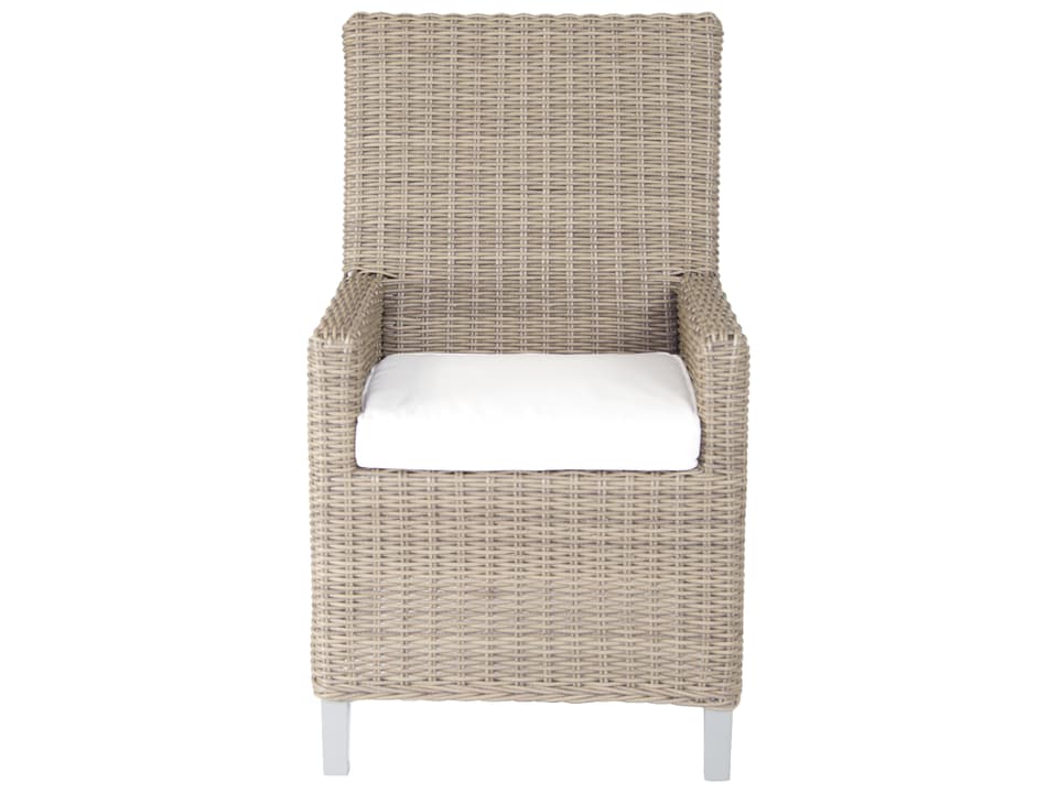 Palisades Wicker Dining Arm Chair with Cushions