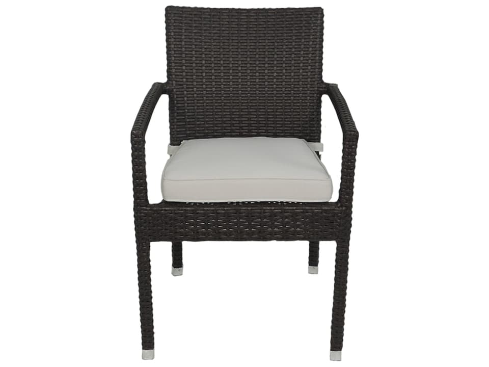 Axcess Inc. Venice Zuma Wicker Arm Chair