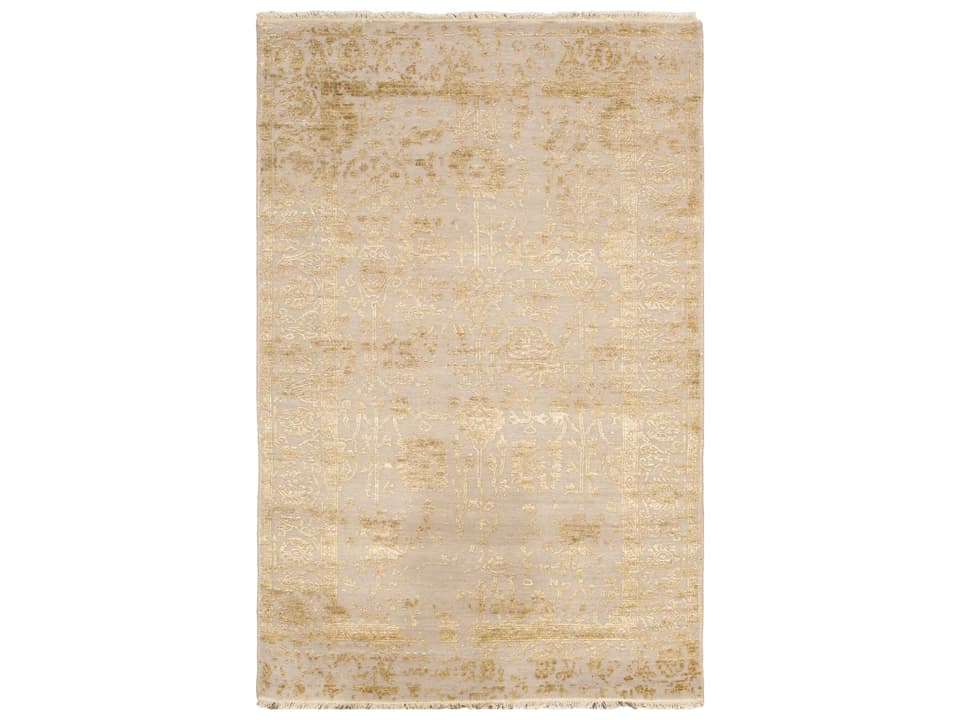 VASE-3GLD Transitional Bordered 4x6 Area Rug in Gold and Silver
