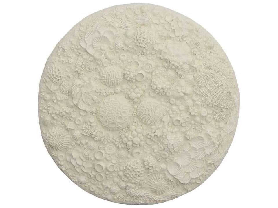 Round Coral Reef Wall Art in Painted Cream