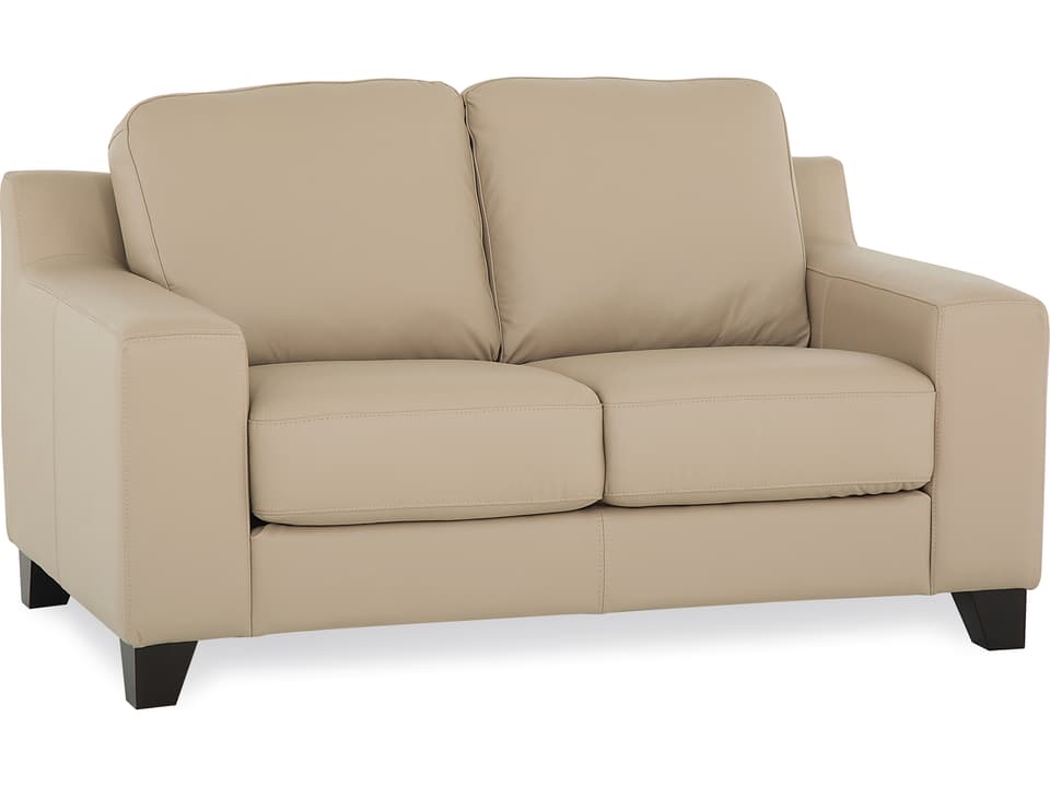 Reed 2-Seat Leather Loveseat in Contemporary Style with Espresso Legs
