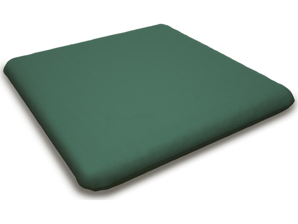 Seat Cushion
