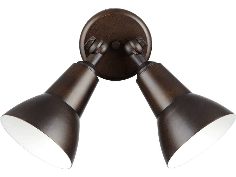 Fort Worth 2-Light Outdoor Flood Light in Oiled Bronze
