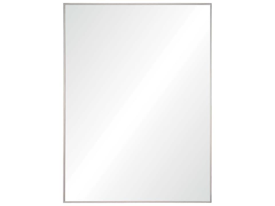 Carmelle Wall Mirror Rectangular Polished Steel