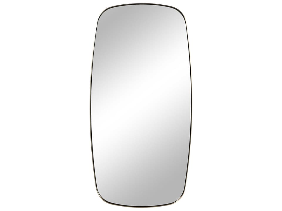 Jacossa Champagne Wall Mirror with Irregular Modern Frame