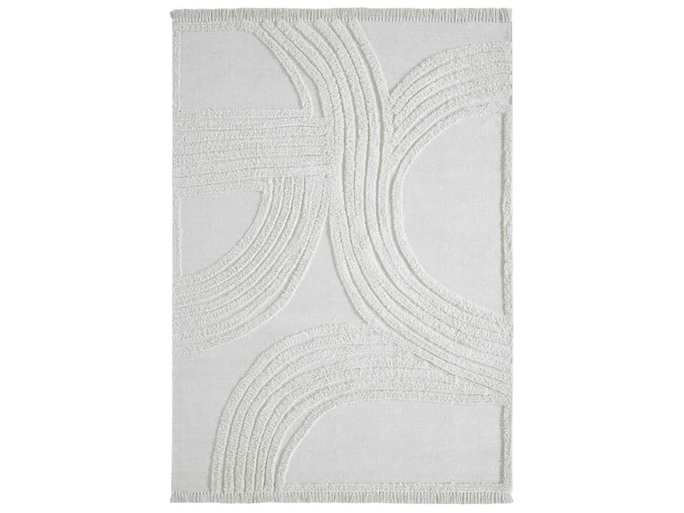 Terrain Abstract Hand Woven Cotton Area Rug with Fringe Edge