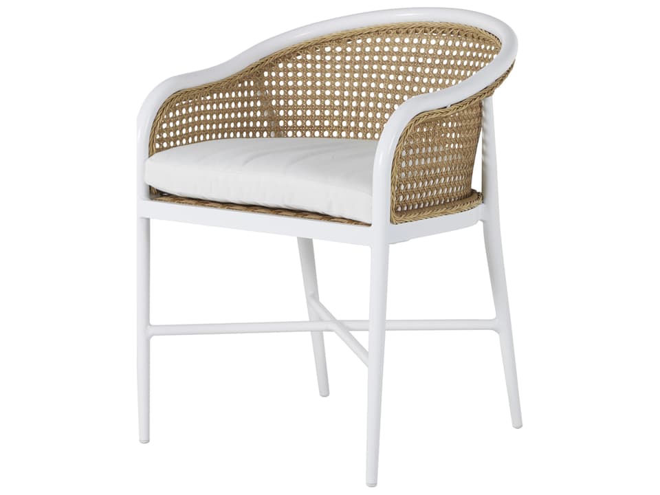 Havana Dining Arm Chair with N-Dura Resin Wicker