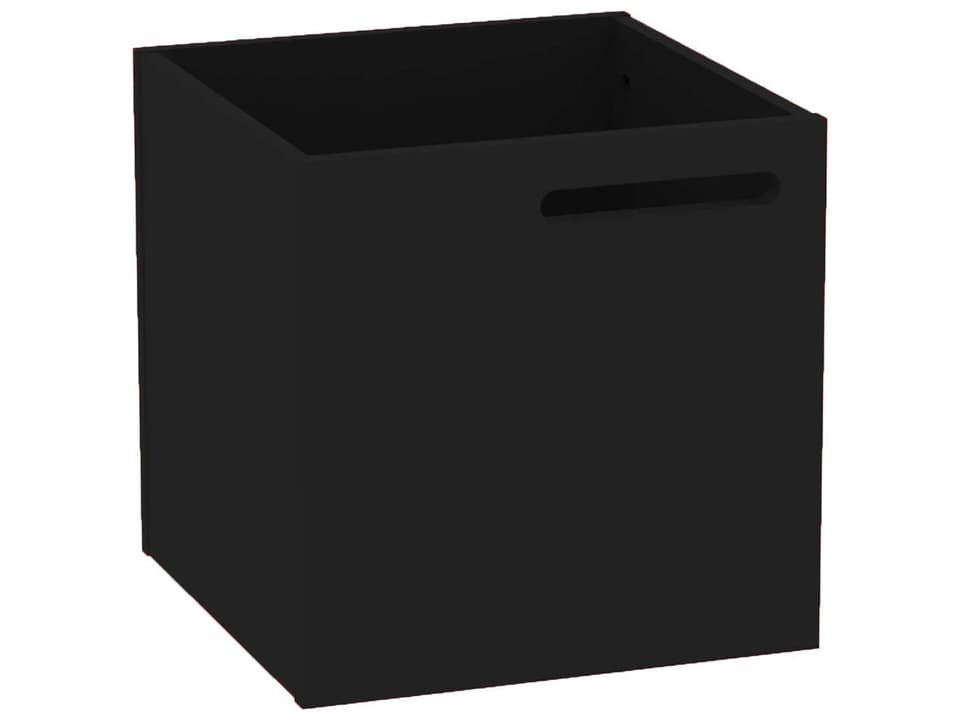 Berlin Storage Bin for Shelving Units in Pure Black