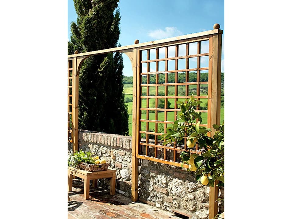Wood Garden